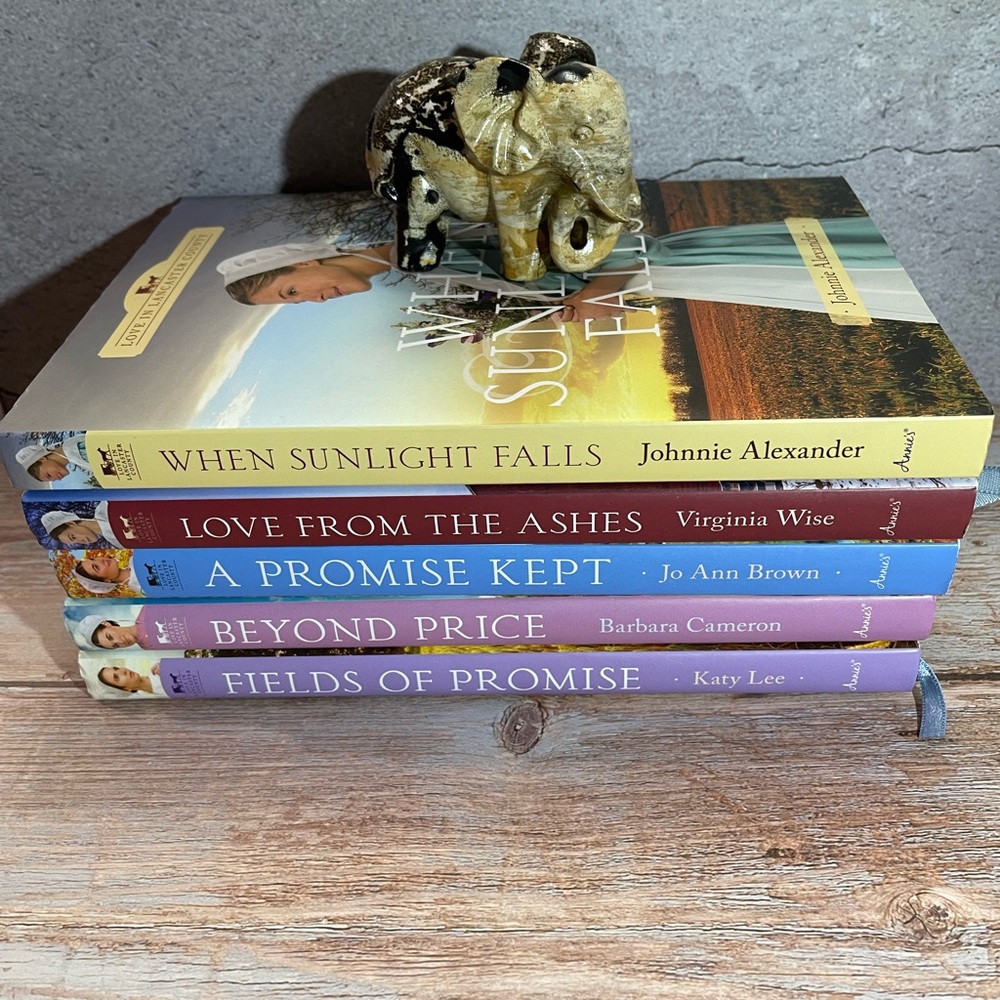 Love In Lancaster County Hardcover 5 Book Lot Amish Romance Annie’s Fiction